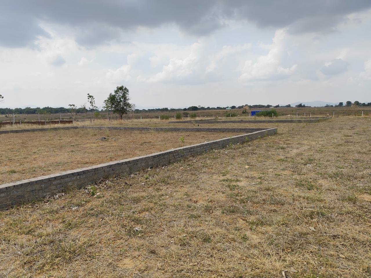 WhatsApp Image 2026-04-09 at 19.28.51