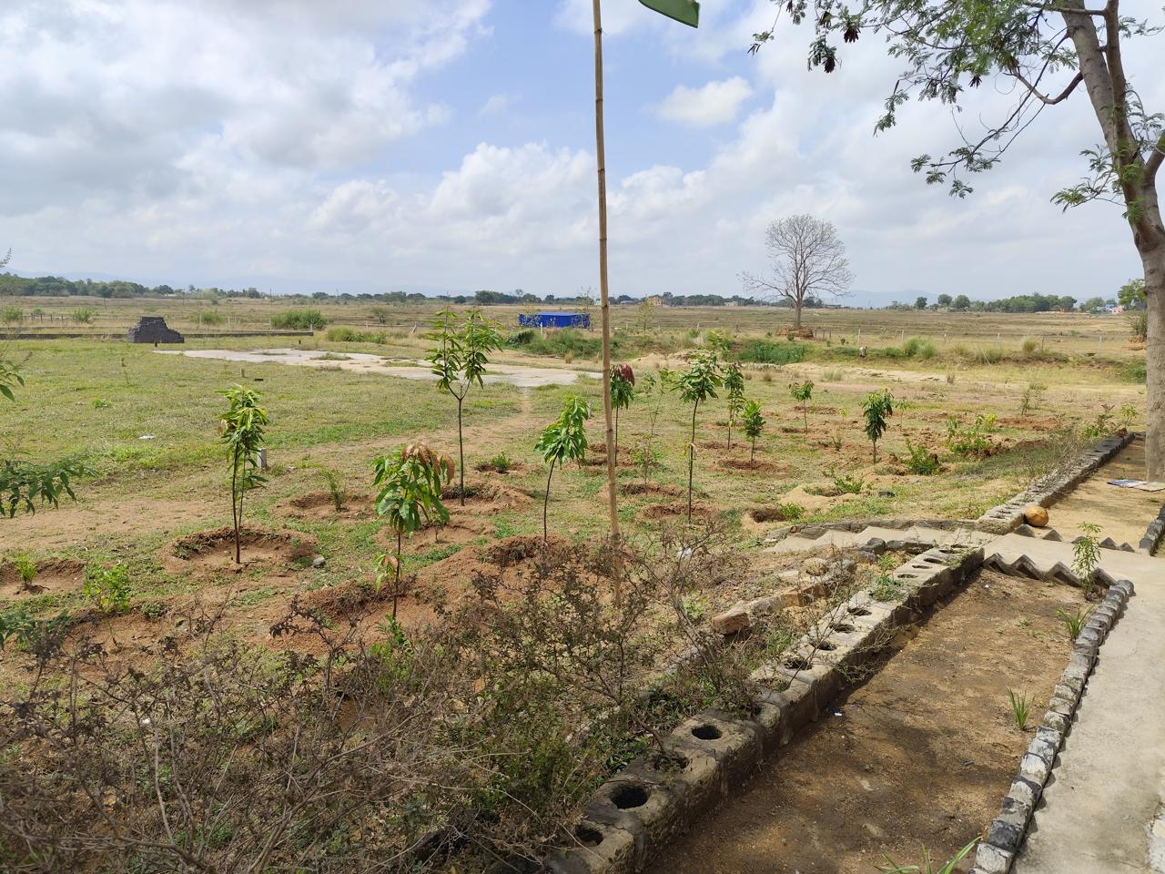 WhatsApp Image 2026-04-09 at 19.28.55