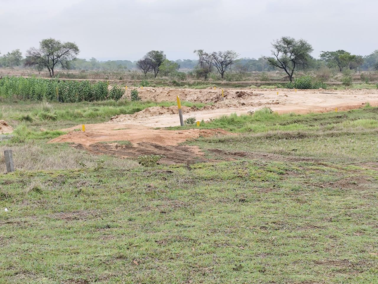 WhatsApp Image 2026-04-09 at 19.28.55(1)